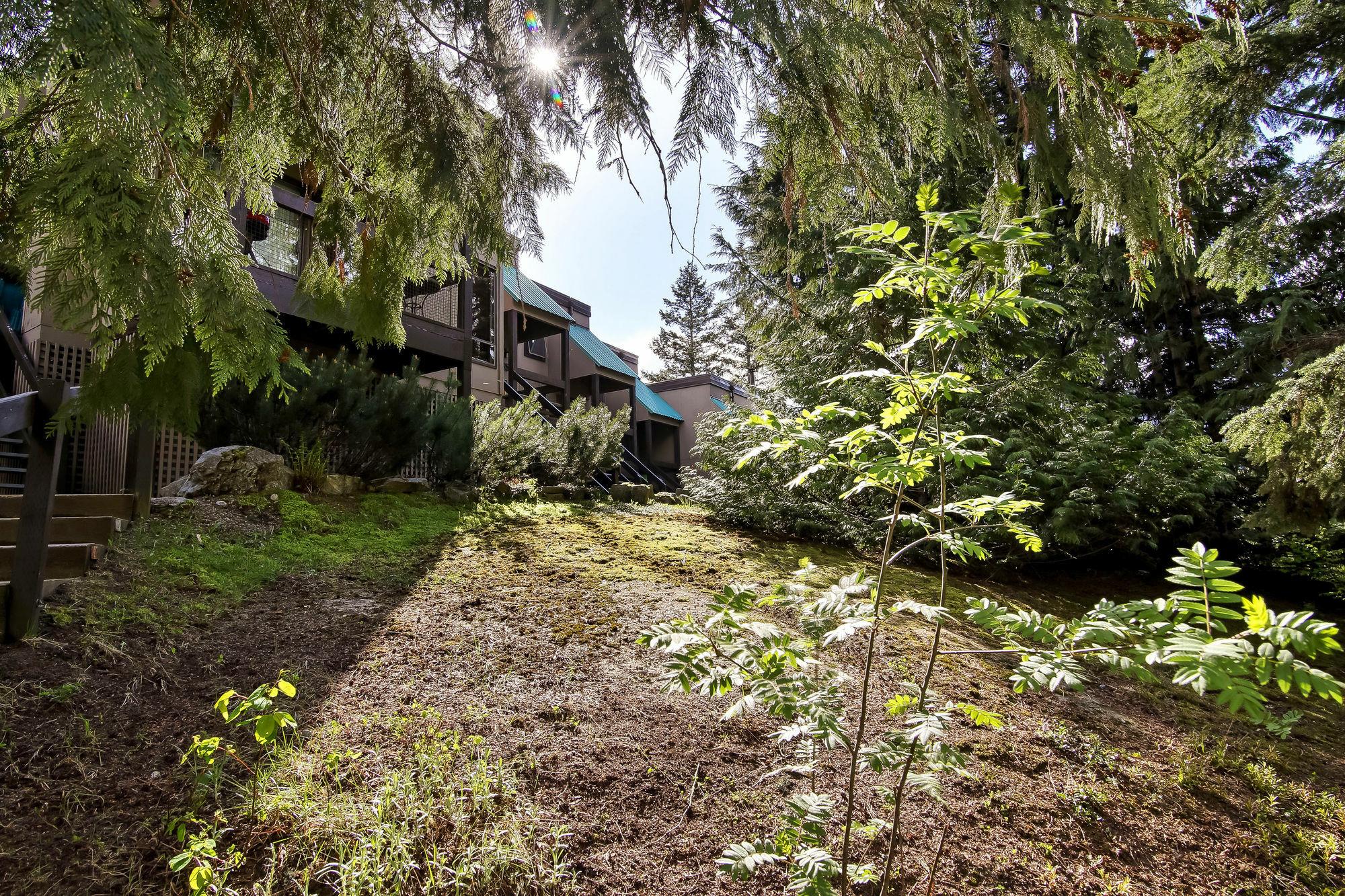 Whiski Jack Creekside Уистлер Экстерьер фото